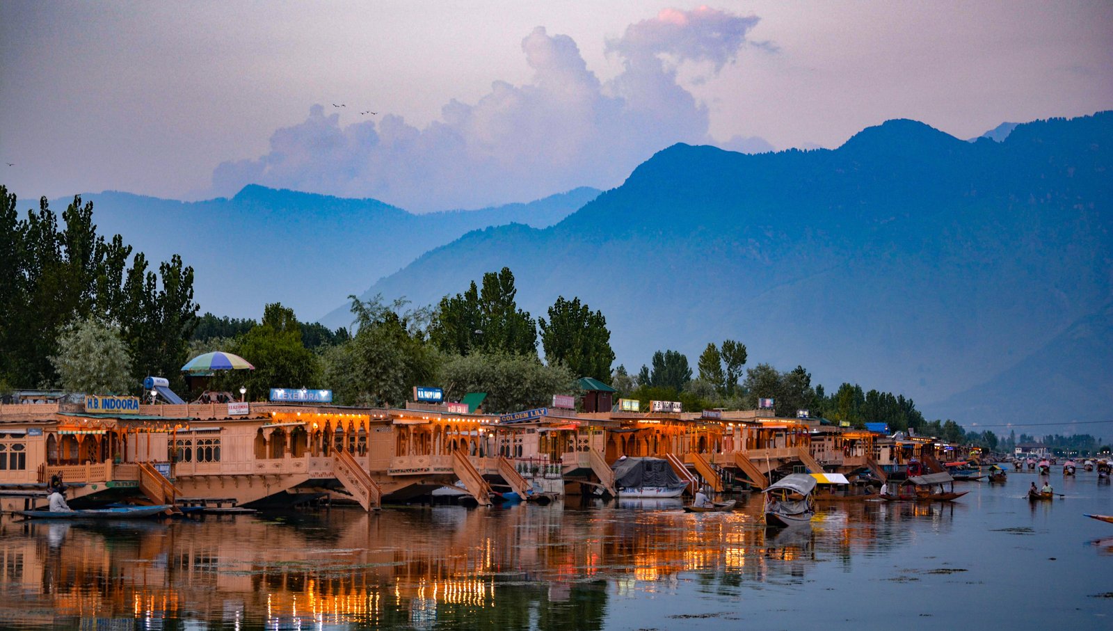 WONDERFUL KASHMIR - OPTION C